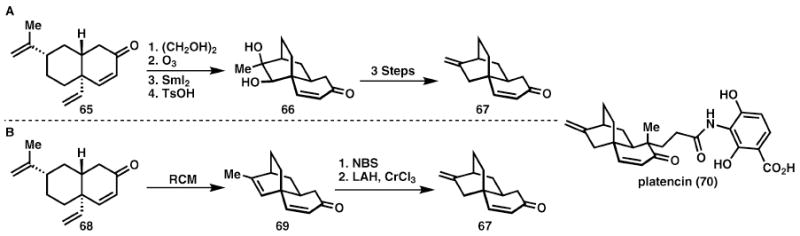 Scheme 11