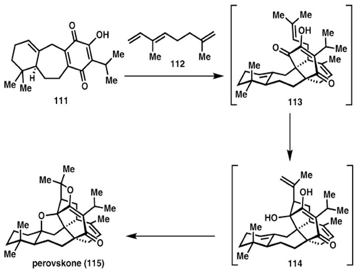 Scheme 16