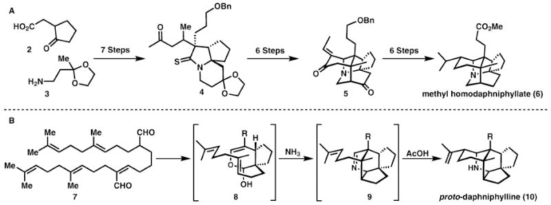 Scheme 2