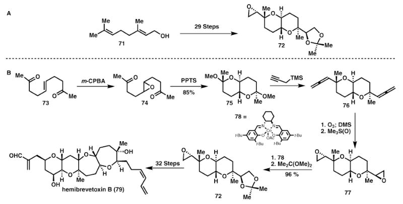 Scheme 12