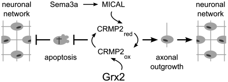 Fig. 6.