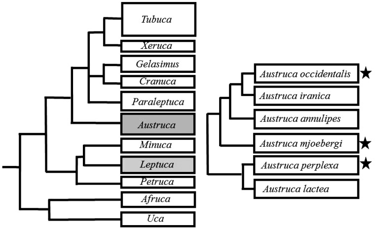 Figure 4.