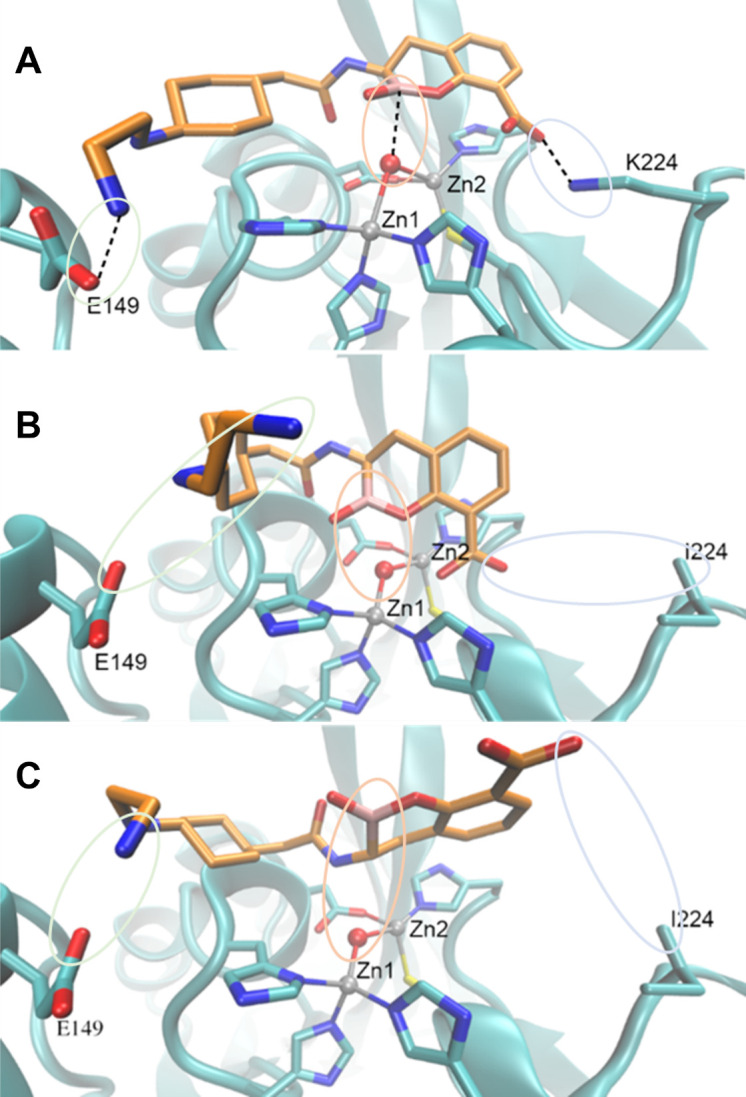 Fig 6