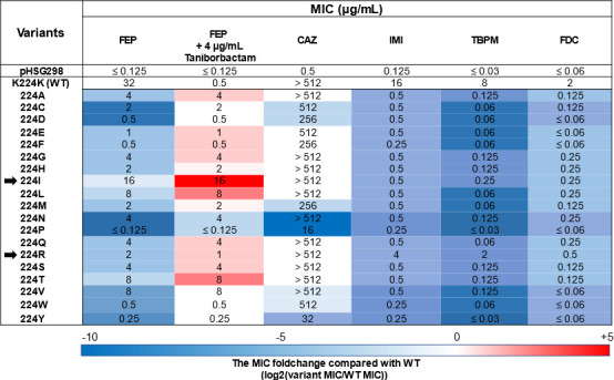 FIG 3