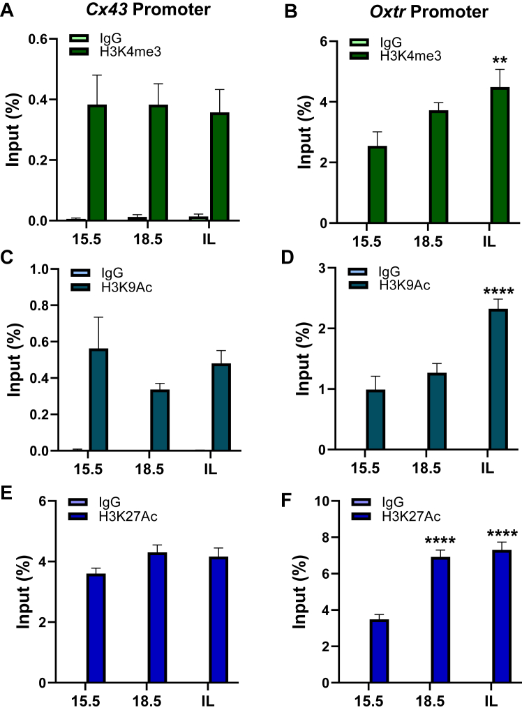 Figure 6