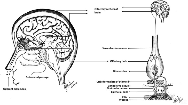 Figure 1