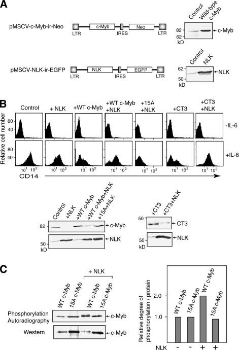 Figure 6.