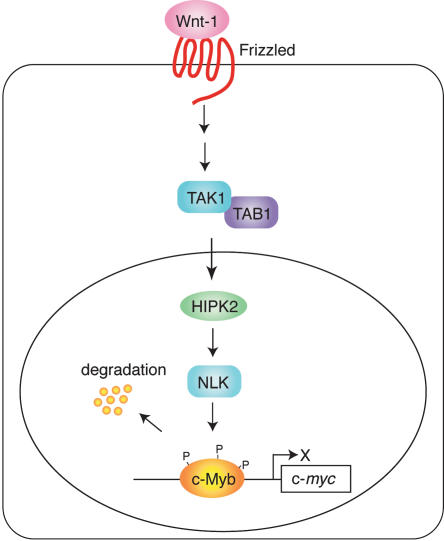 Figure 7.