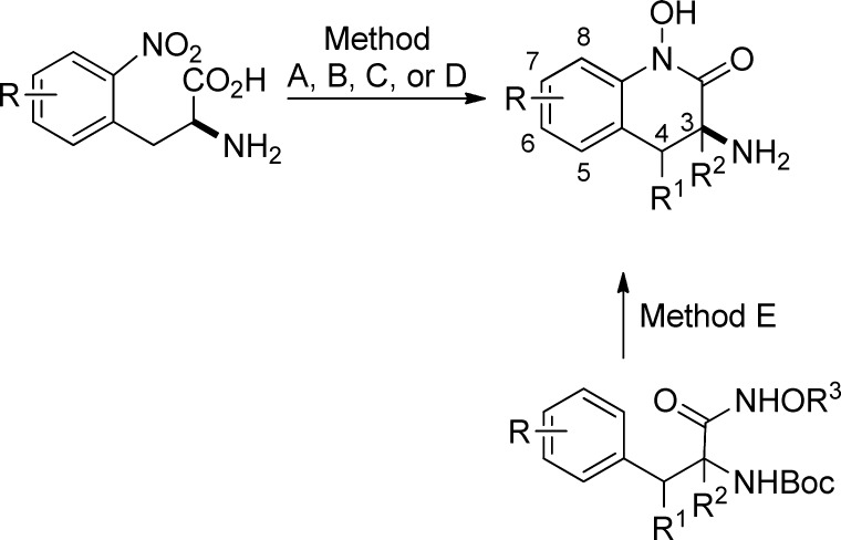 Scheme 2