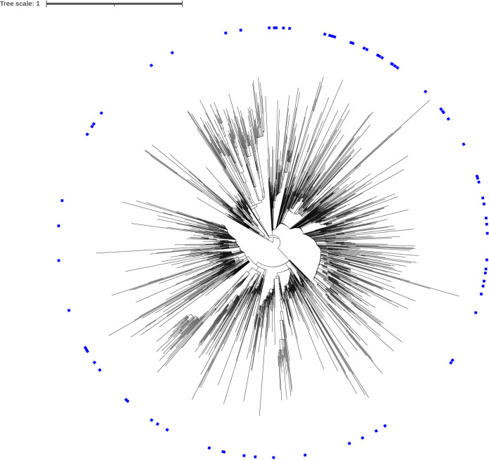 FIG 3