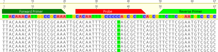 FIG 2