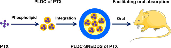 Image, graphical abstract