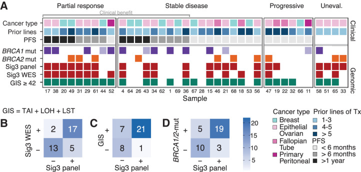 Figure 1. Cohort 1 details and comparison of different HRD detection methods. A, Clinical and genomic characteristics for each sample (small numbers at the bottom represent the individual study ID of each participant), grouping based on RECIST best overall response criteria. Clinical characteristics include the different cancer types and number of prior treatments. Different intervals of PFS are shown in the third row. Genomic characteristics include BRCA1/2 mutation status, Sig3+ classification by SigMA from panel and WES data, and the GIS calculated from WES. The lighter fill color of BRCA1/2 m indicates lack of LOH. B, 2 × 2 table of Sig3 status identified from WES and panel concordance is 81%. C, 2 × 2 table of GIS calculated with scarHRD versus Sig3-status from panel data. D, Mutations of BRCA1/2 versus Sig3 status. One patient had both a BRCA1 and BRCA2 mutation. WT, wild type; Tx, therapy.