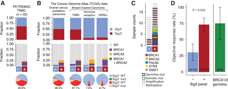 Figure 4. Fraction of samples that are Sig3+ (top), the proportion of samples with germline BRCA1/2mut for Sig3+ and Sig3− groups (middle) and pie charts showing the fraction of samples that are Sig3+ germline BRCA1/2 WT in TNBCs from PETREMAC trial (A) and TCGA ovarian cancers and the major clinical subtypes of breast cancer (B). The fraction of samples that are Sig3+ but not germline BRCA1/2mut are shown below the pie charts in red and the fractions are indicated below. Pink: Sig3+ and germline BRCA1/2mut, Green: Sig3− and germline BRCA1/2mut, and Blue Sig3− and germline BRCA1/2 WT. C, HR-gene alterations in patients from the PETREMAC trial. D, ORR from patients from the PETREMAC trial according to panel-Sig3 classification and etiology of Sig3. Error bars denote the SE. The number of samples and the responders are denoted in parenthesis. WT, wild type.