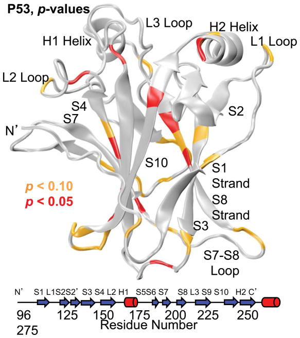 Fig. 10