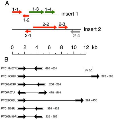 FIG. 8.