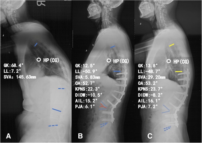 Fig. 3