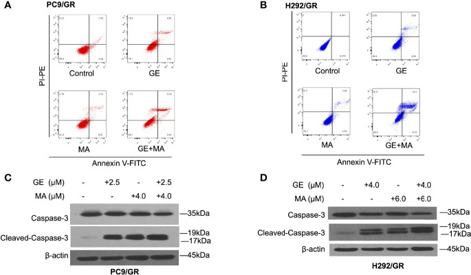 Figure 2