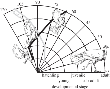 Figure 2.