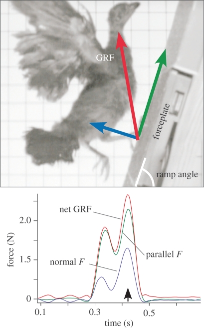 Figure 1.