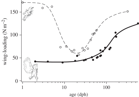 Figure 6.