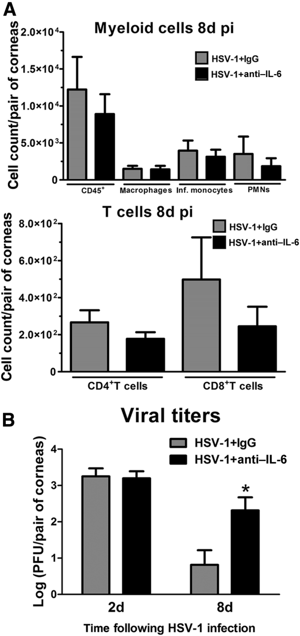 Figure 6