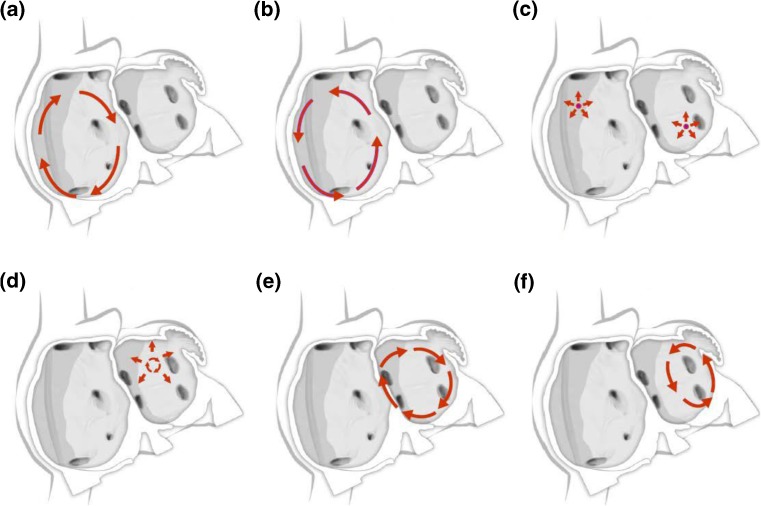 Fig. 5