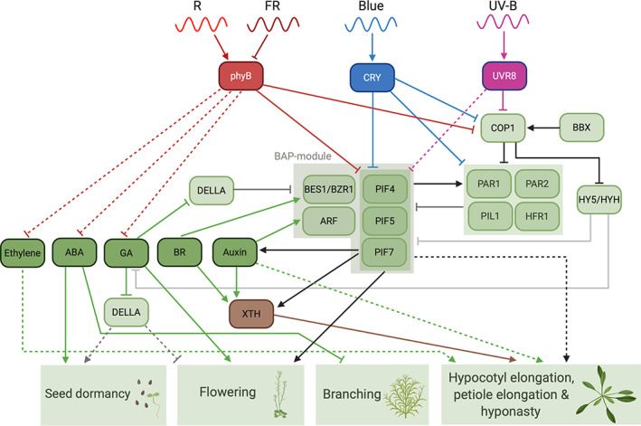 FIGURE 2