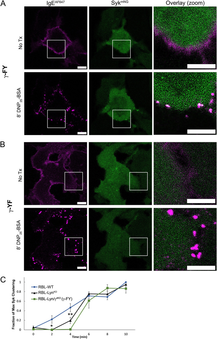 FIGURE 5: