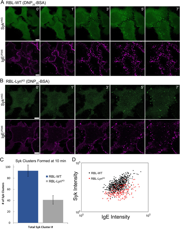 FIGURE 4: