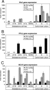 FIG. 7.