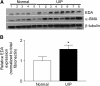 <b>Figure 1.</b>