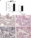 <b>Figure 2.</b>