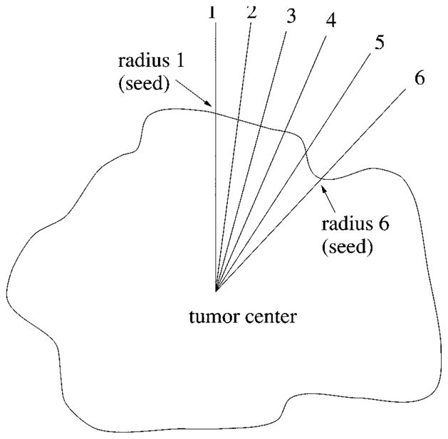 Fig. 17