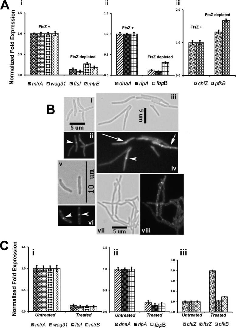 FIGURE 10.