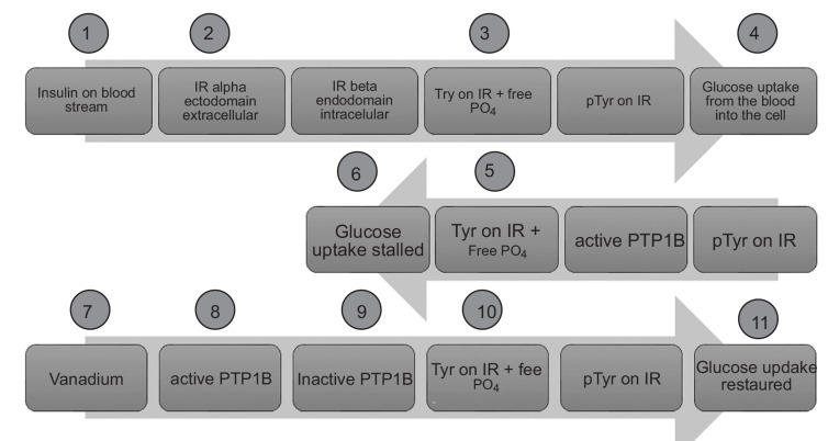 Fig. (1)