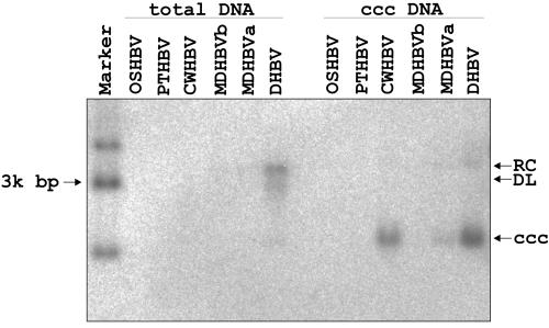 FIG. 8.