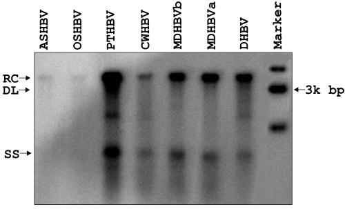 FIG. 5.