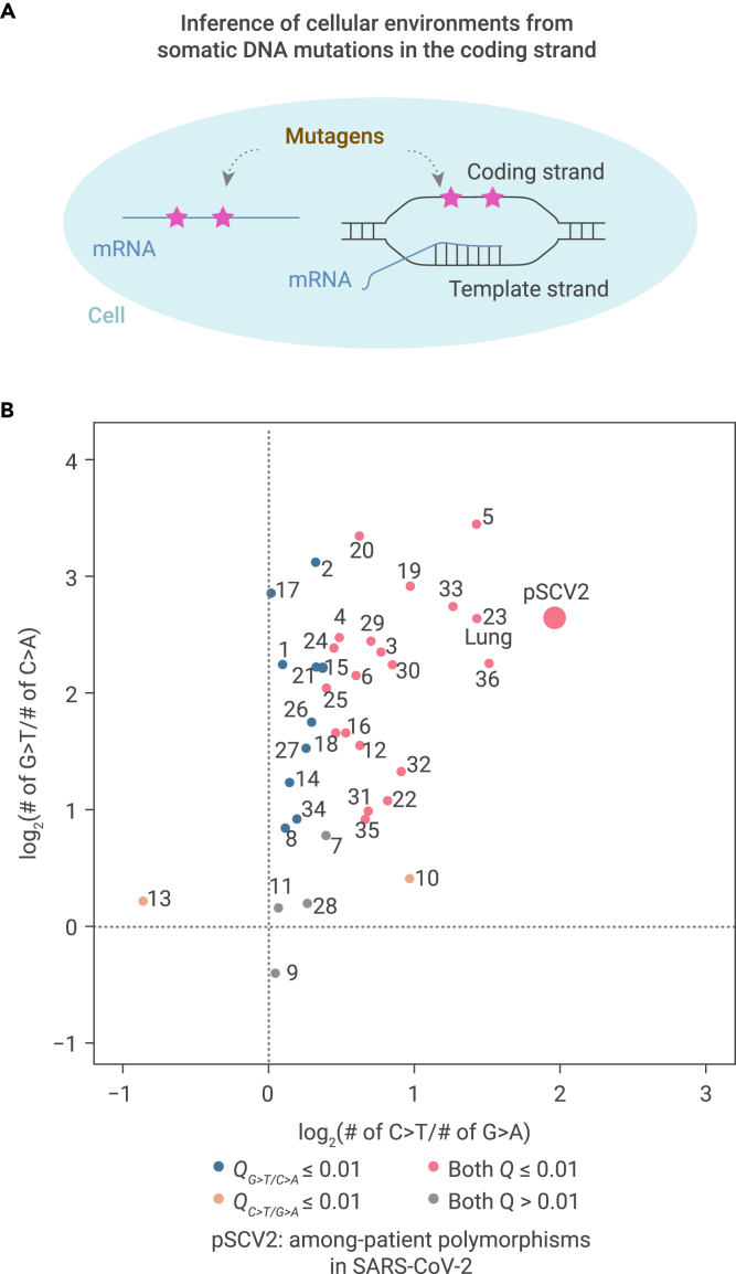 Figure 5