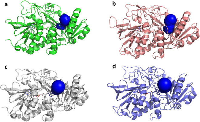 Figure 5