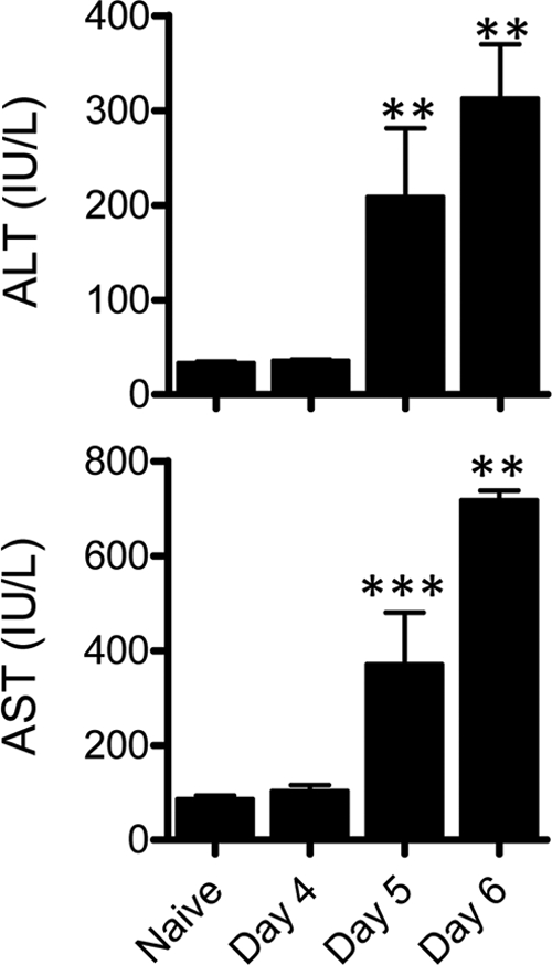 Fig. 3.