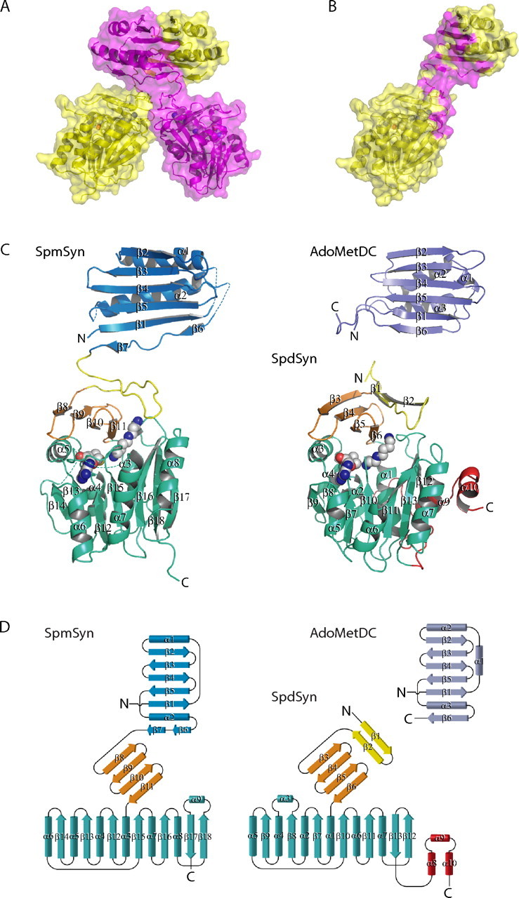 FIGURE 2.