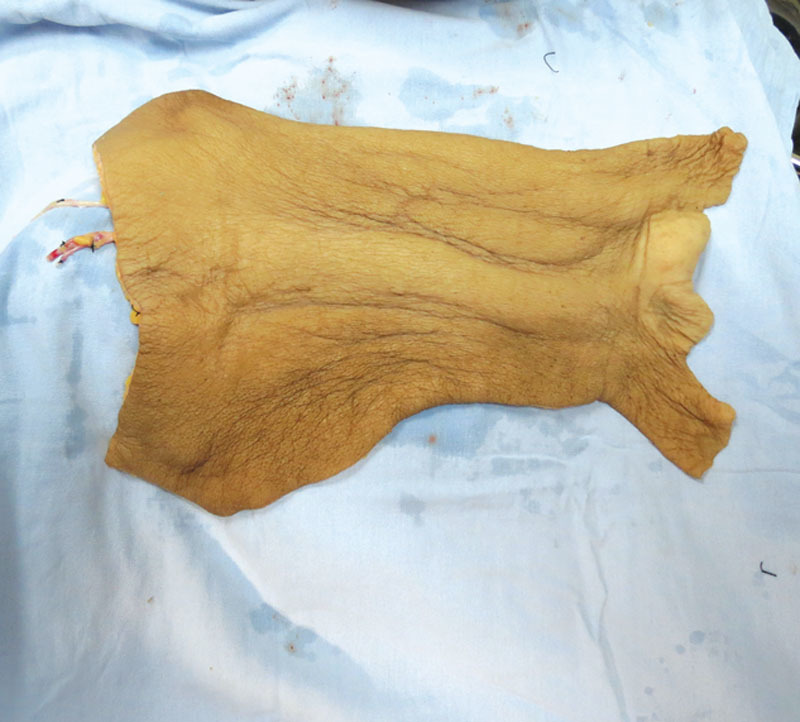 Fig. 2.