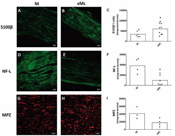 Fig. 2: