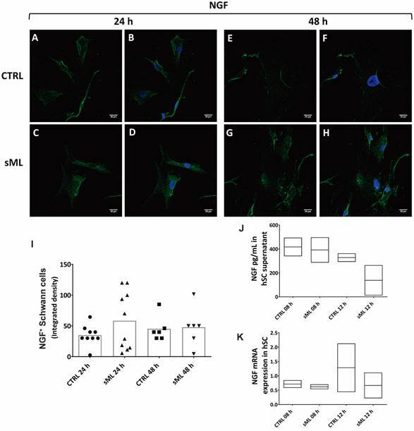 Fig. 4: