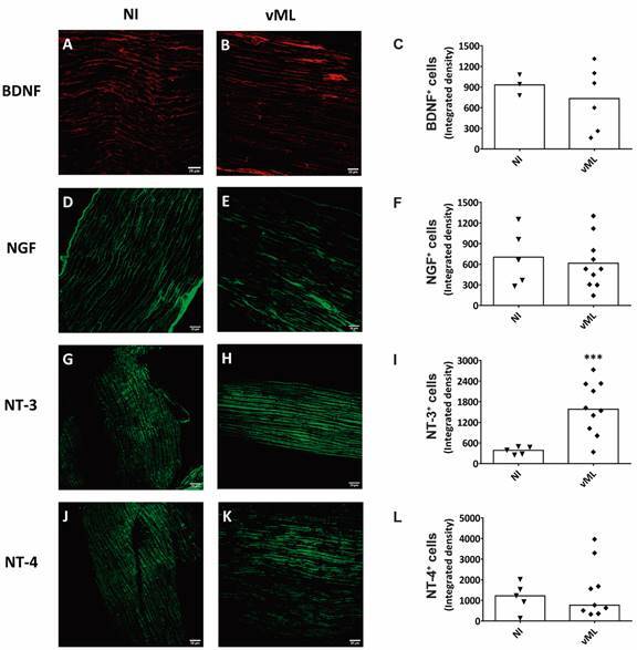 Fig. 7: