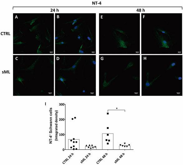 Fig. 6: