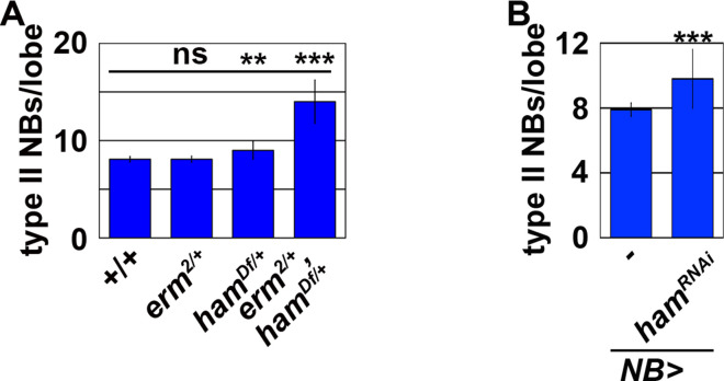 Figure 3—figure supplement 1.