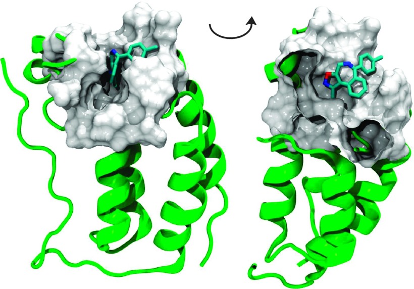 FIG. 2.