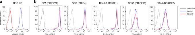 Fig. 3